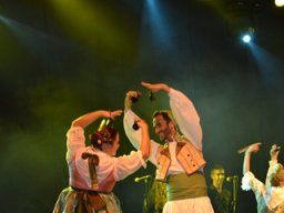 Festival de Folkore en Mula